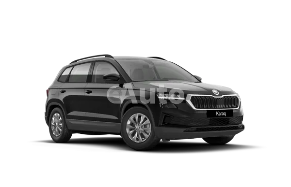 Skoda Karoq — polovni automobil