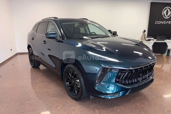Dongfeng Forthing — polovni automobil