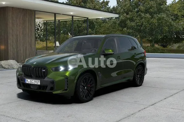 BMW X5 — polovni automobil