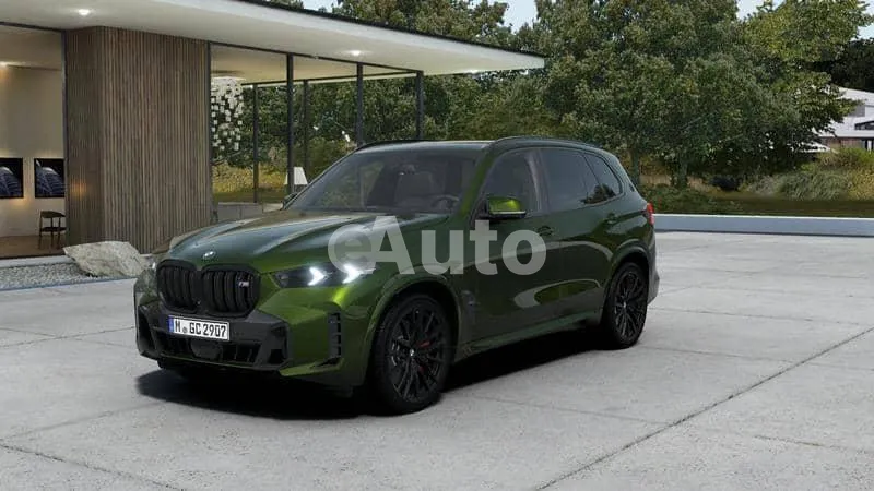 BMW X5 — polovni automobil