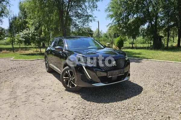 Peugeot 2008 — polovni automobil