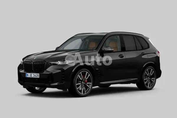 BMW X5 — polovni automobil