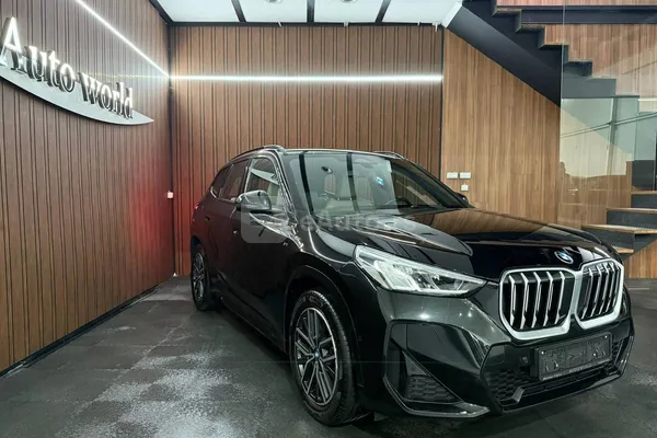 BMW X1 — polovni automobil