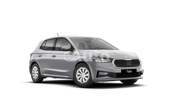 Skoda Fabia — polovni automobil