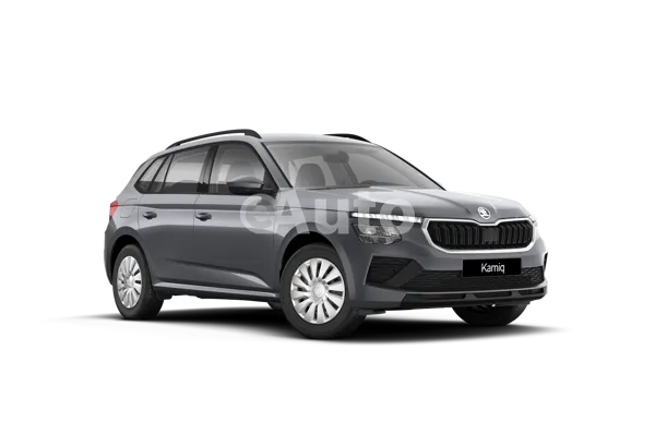 Skoda Kamiq — polovni automobil