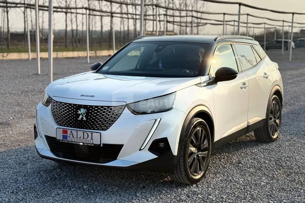 Peugeot 2008 — polovni automobil