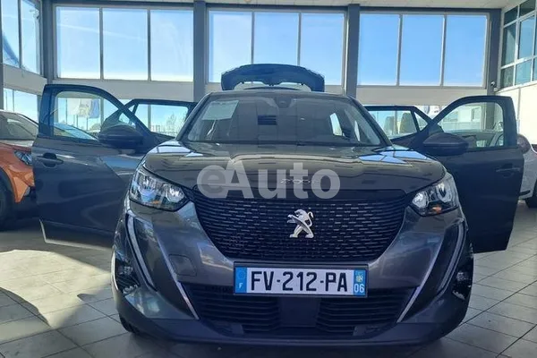 Peugeot 2008 — polovni automobil