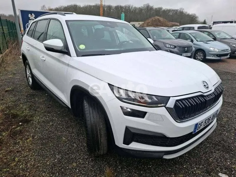 Skoda Kodiaq — polovni automobil